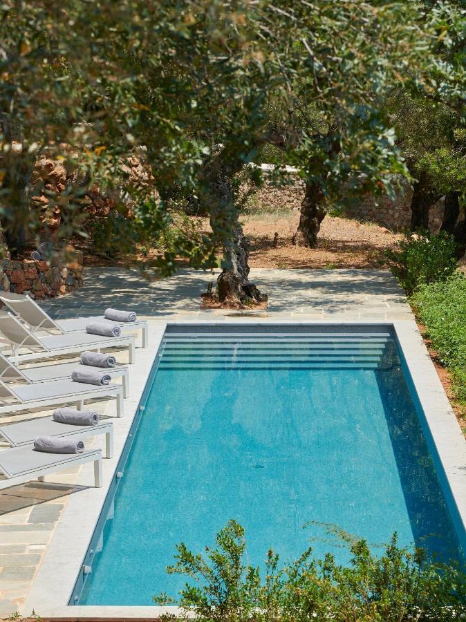 Patrick & Joan Leigh Fermor House Bed & Breakfast Kardamyli Dış mekan fotoğraf